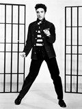 Elvis Presley (1935-1977)